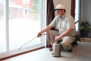 Safe Pest Control for Parks and Recreation Areas