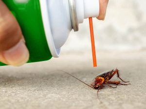 Local Pest Control Services: Supporting Your Community